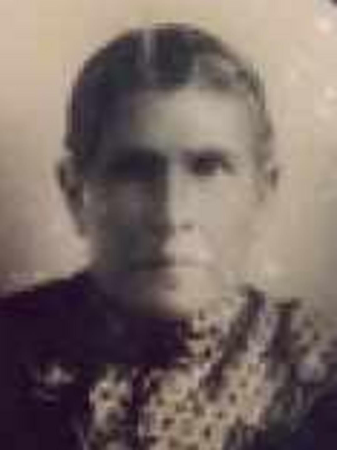 Sophia Melissa Dalton (1835 - 1919) Profile